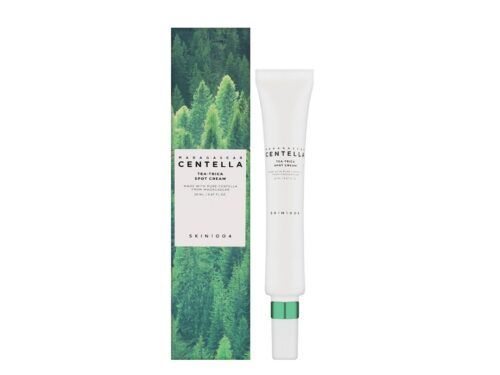 Skin1004 Madagascar Centella Tea-Trica Spot Cream 20ml
